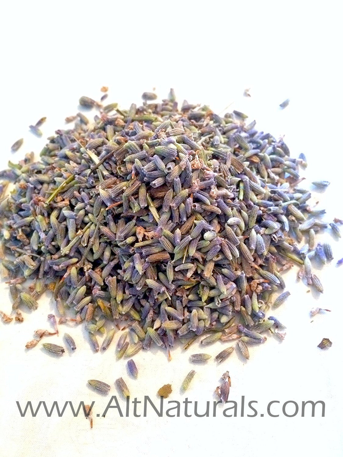 Dried Lavender