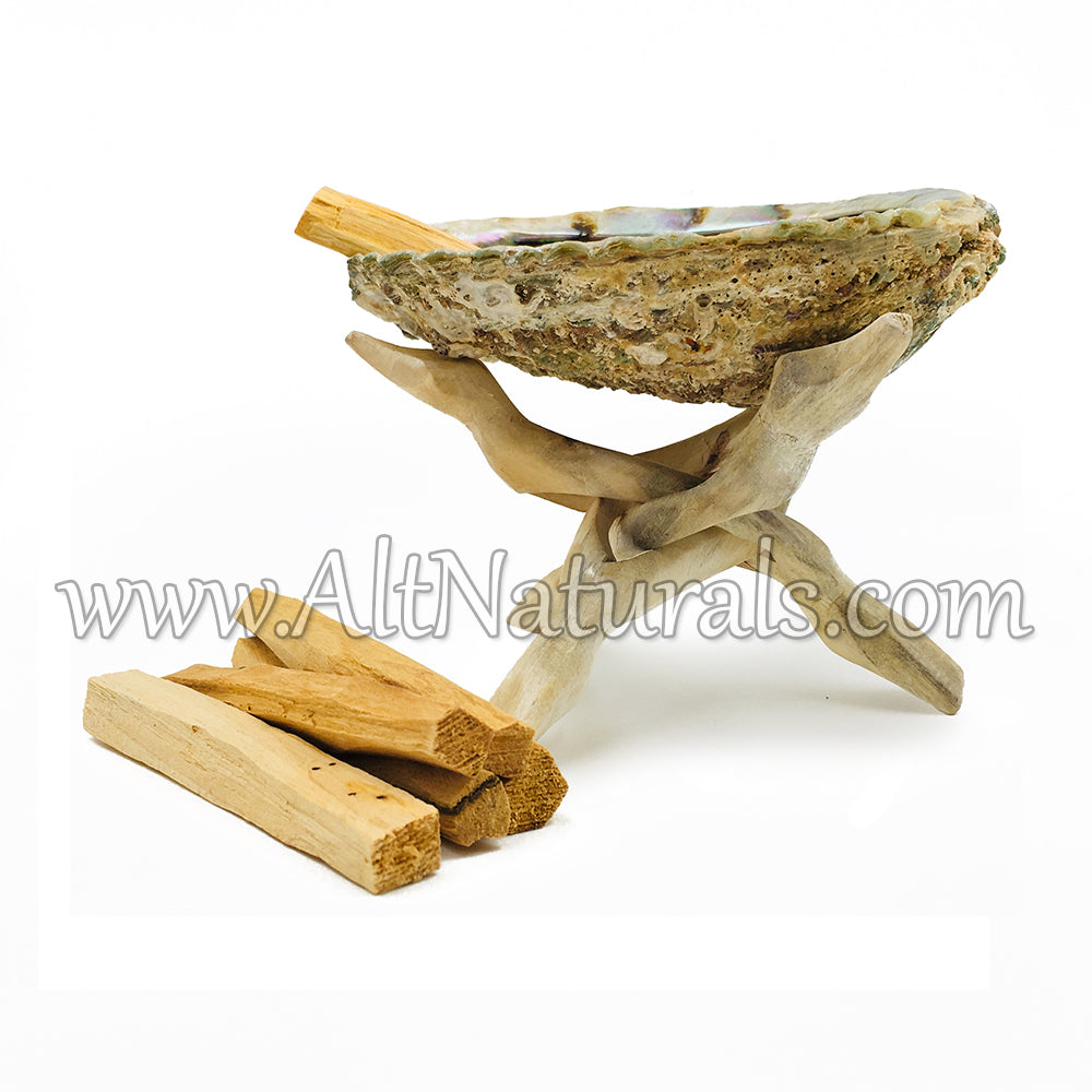Abalone Shell with Natural Wooden Tripod Stand and 6 Palo Santo Sticks