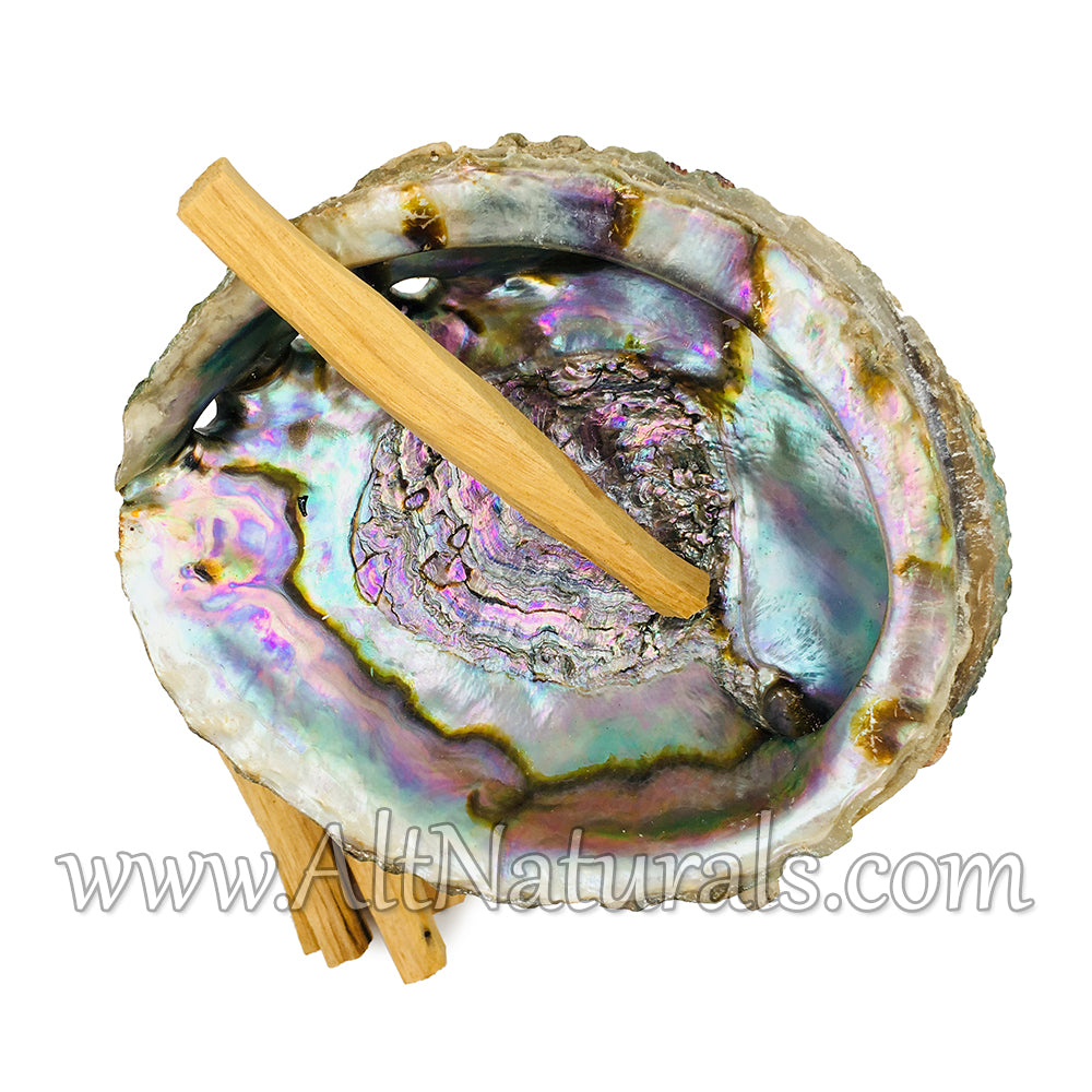 Abalone Shell with Natural Wooden Tripod Stand and 6 Palo Santo Sticks